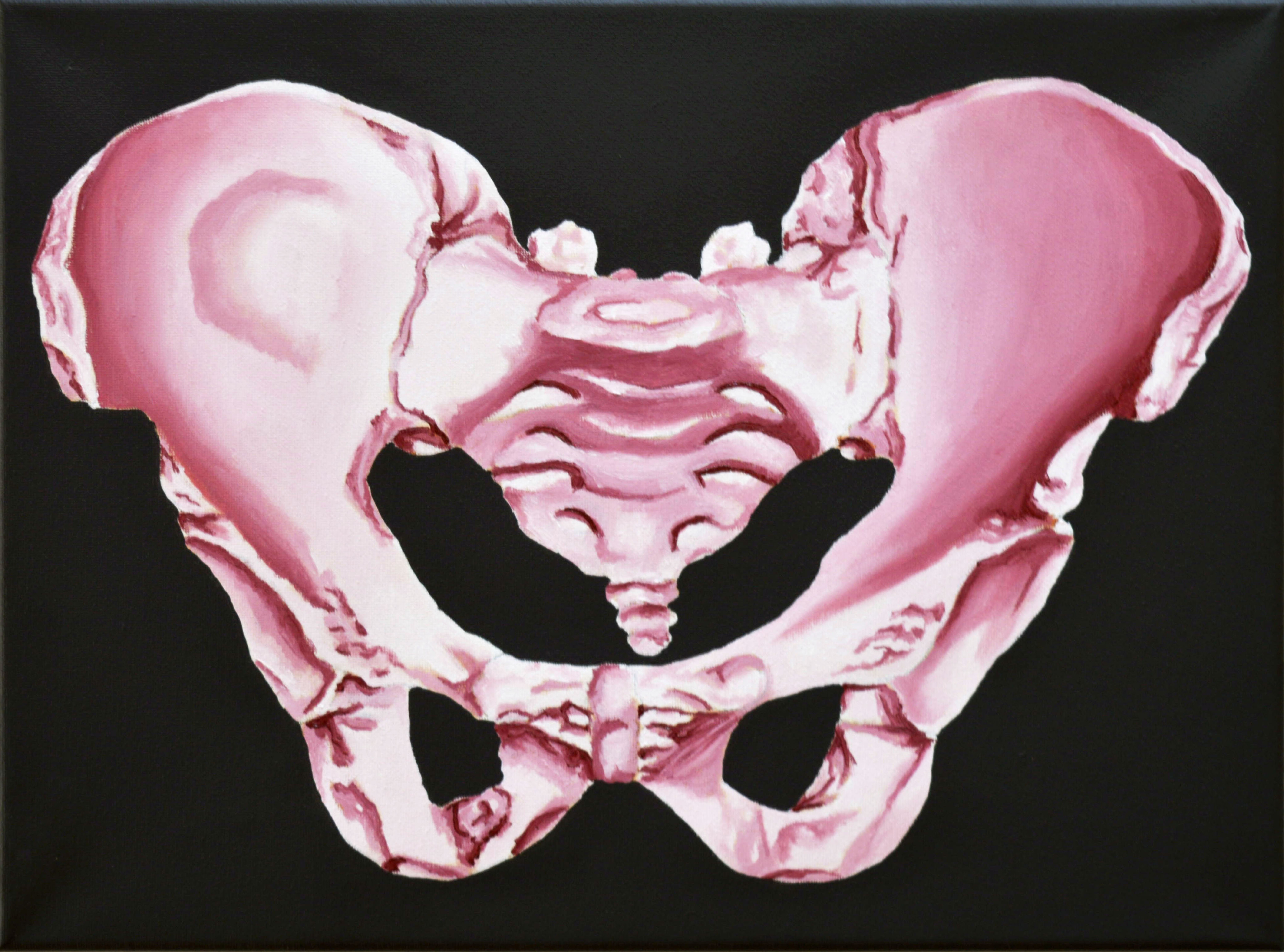Pelvis 2 (pink)