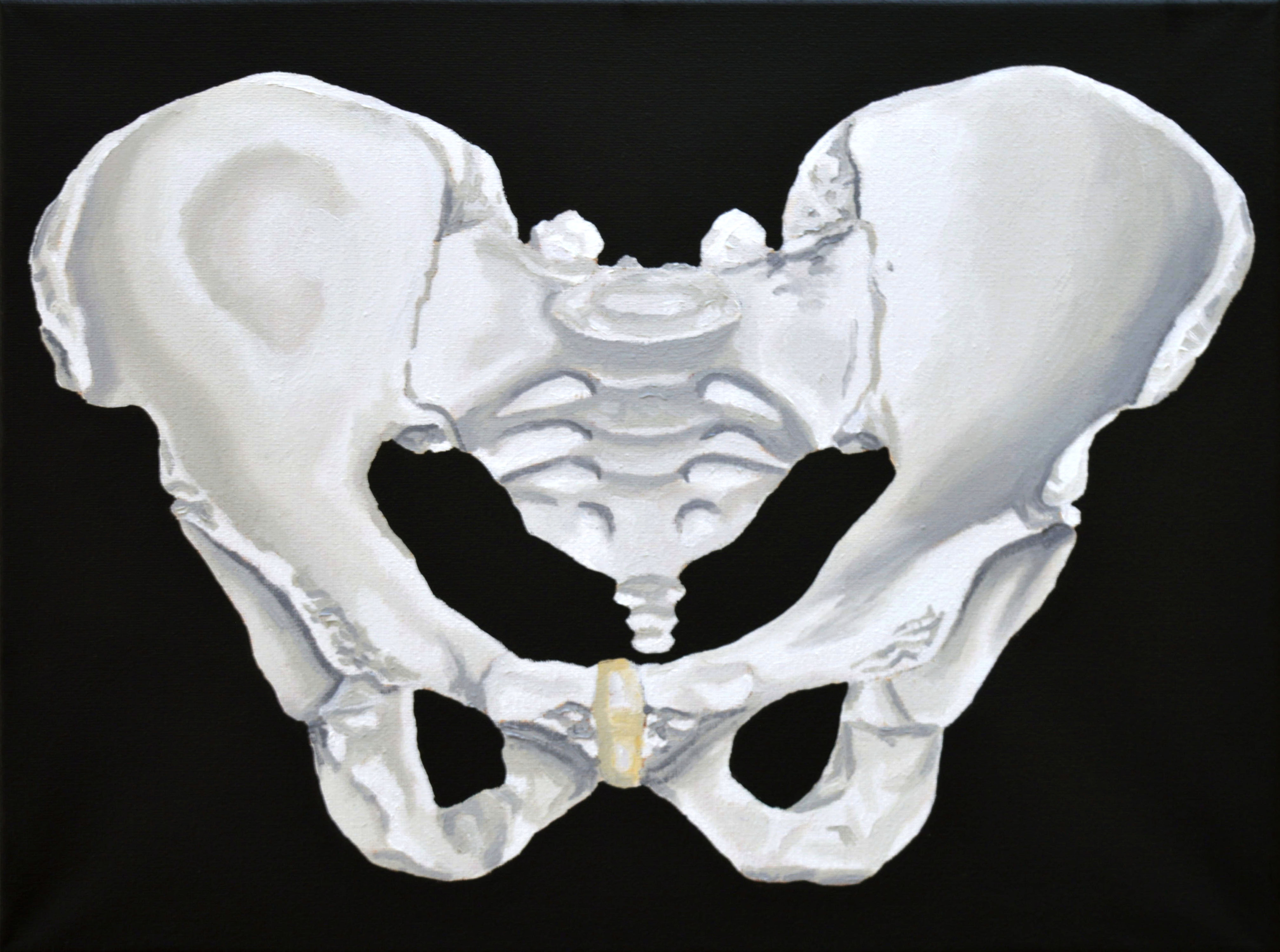 Pelvis 1 