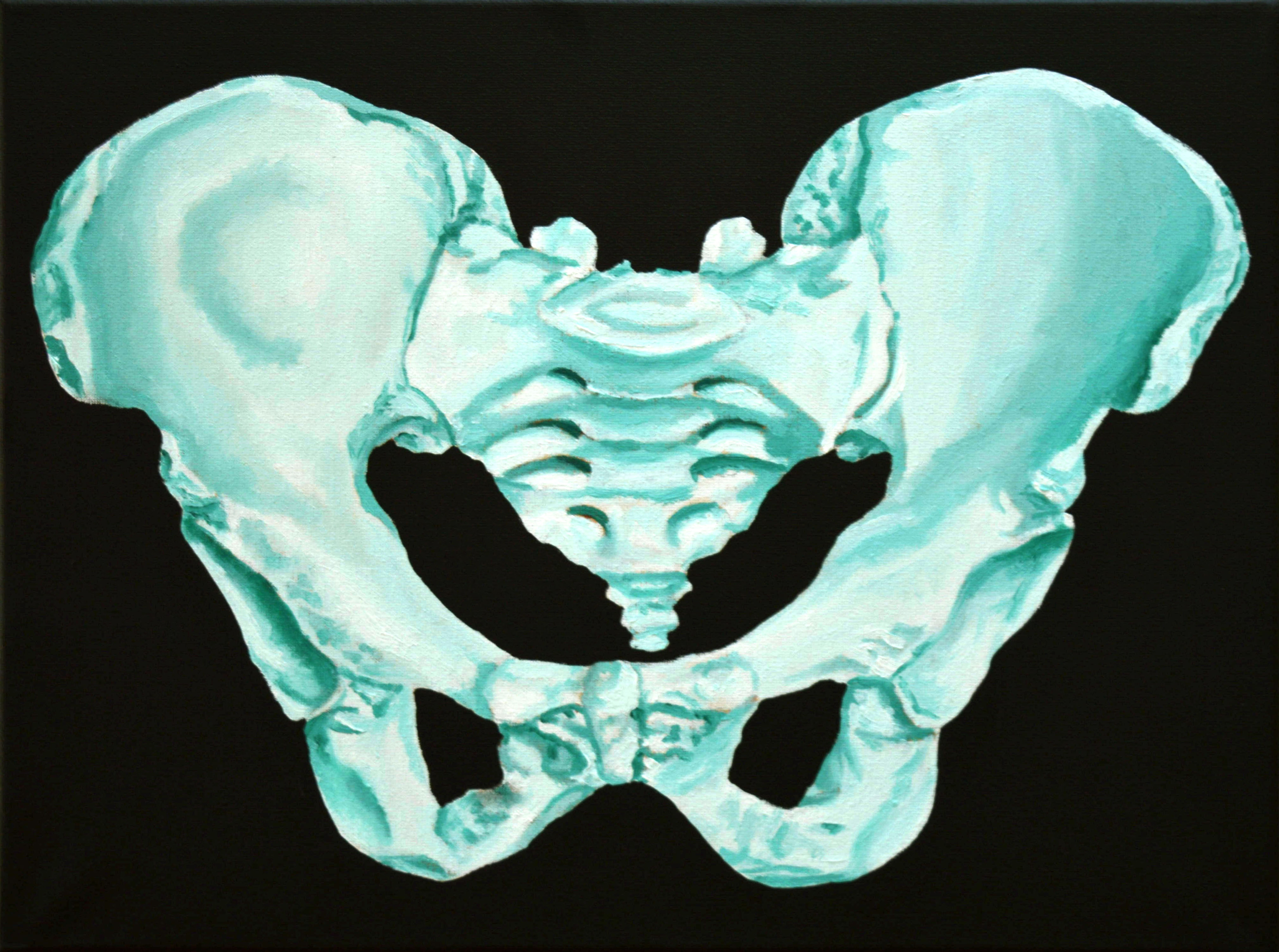 Pelvis 3 (green)