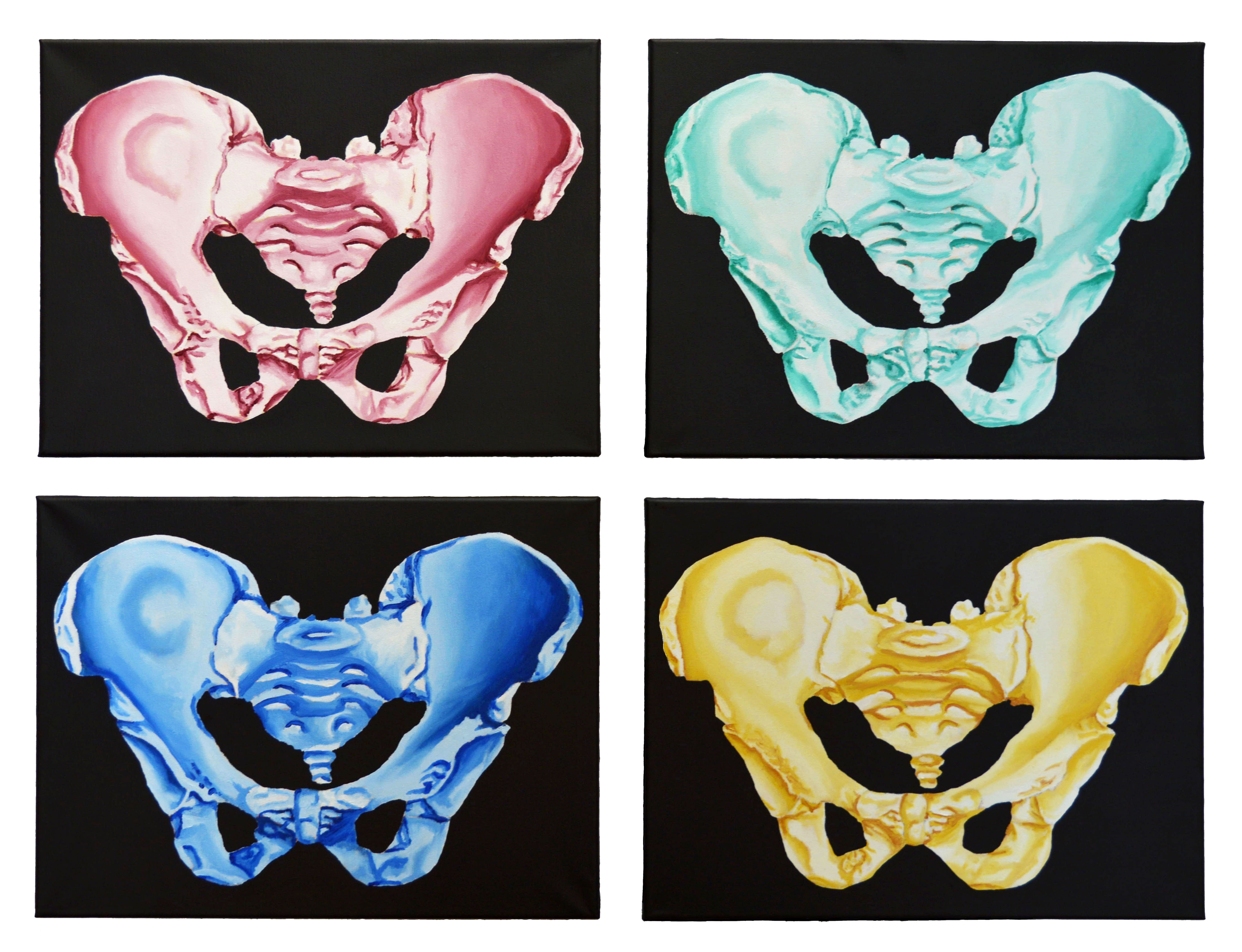 Pelvis Series (2018)